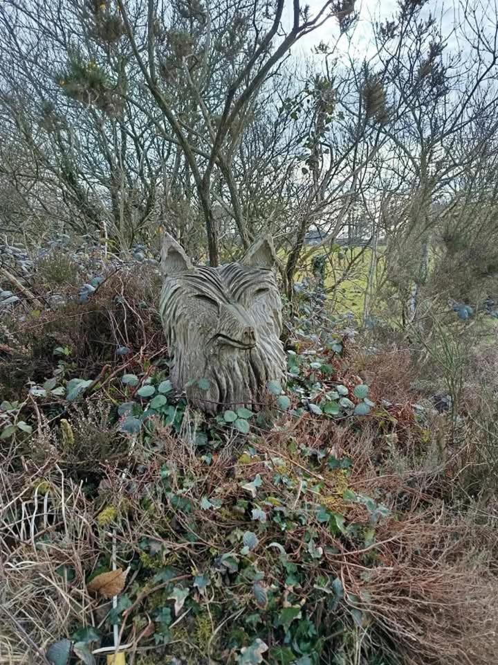 Gite De Rosvern Commana Buitenkant foto